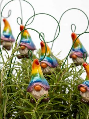 Rainbow Elf