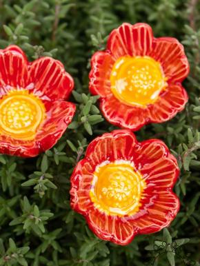 Wild Rose - Red