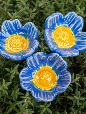Wild Rose - Blue