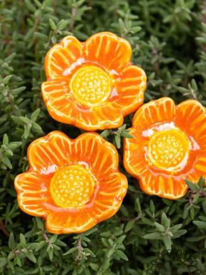 Wild Rose - Orange