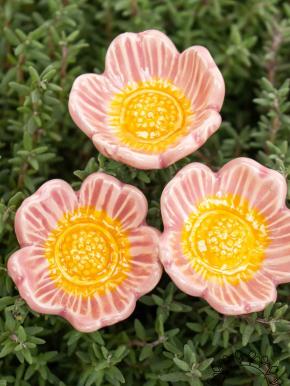 Wild Rose - Pink