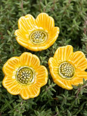 Wild Rose - Yellow