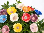 Poppy ceramic flower – handmade decorative piece