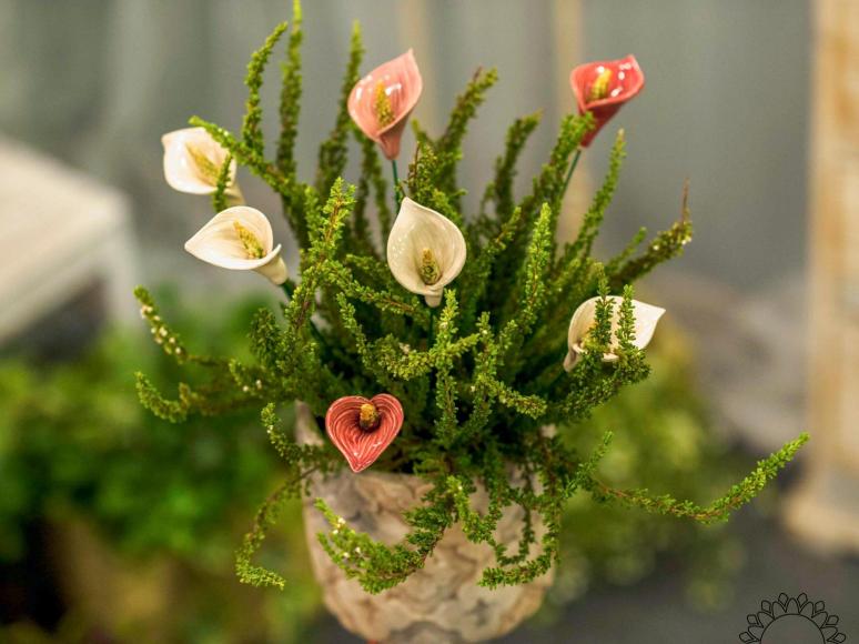 Calla