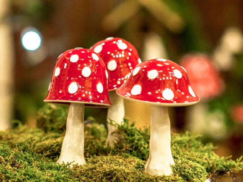 Mushroom