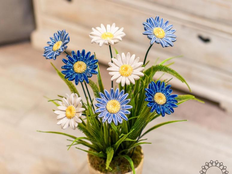 Giant Daisy