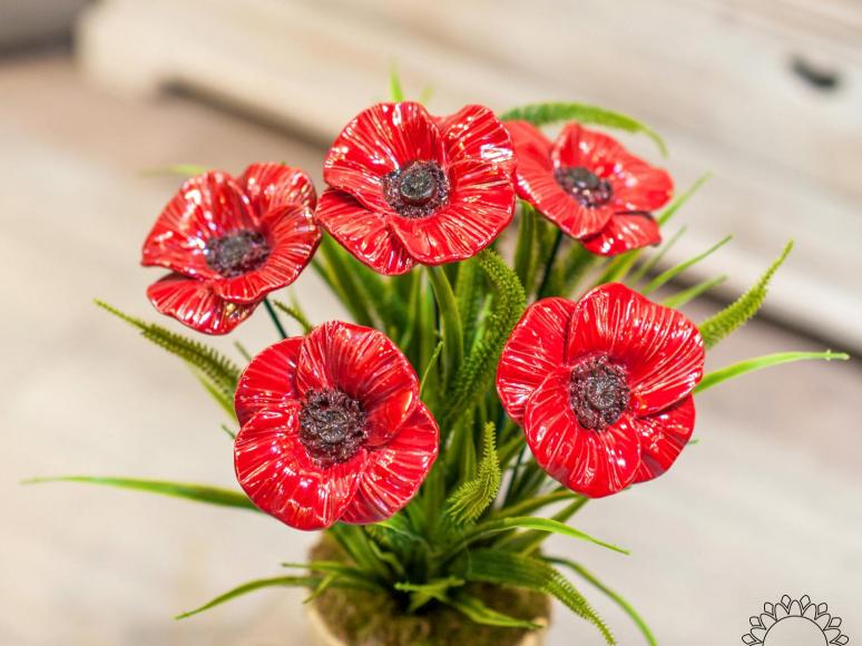 Giant Poppy