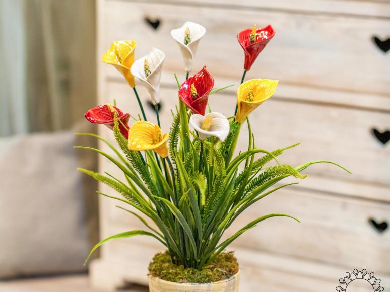 Giant Calla