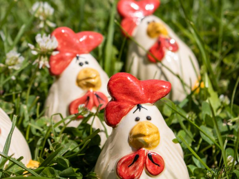 Rooster
