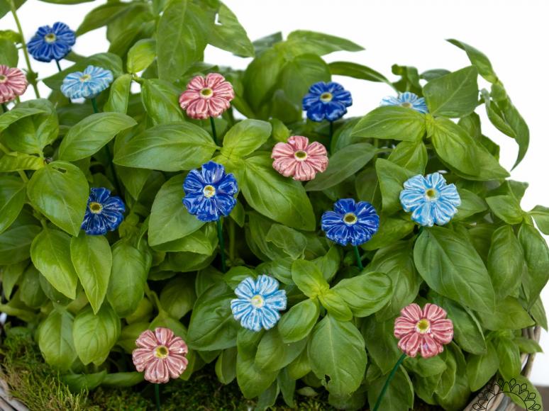 Mini Cornflower