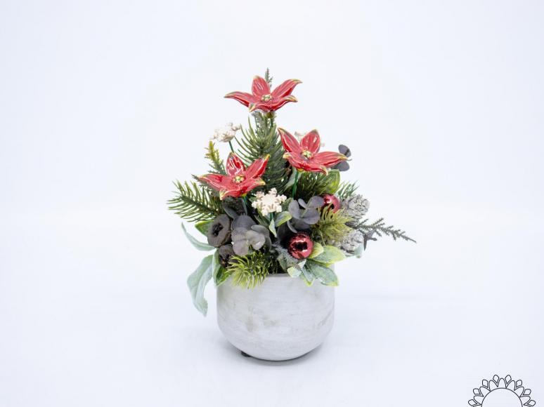 Christmas Small  Centerpiece with Star Flowers
