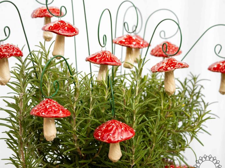 Hanging Mushroom