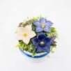 Flower Box with Mallow - Blue