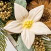 Starflower