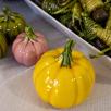 Large Pumpkin