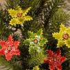 Christmas Flower