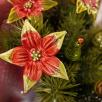 Starflower - Red
