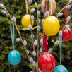 Colored Easter Eggs - Little