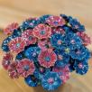 Cornflower