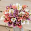 Calla - Pink