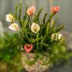 Calla