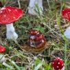 Magic Mushroom
