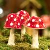 Mushroom