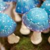 Mushroom - Turquoise