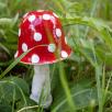 Mushroom - Red