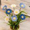 Giant Daisy