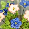 Giant Mallow