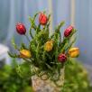 Tulip