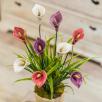 Giant Calla