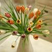Crocus