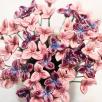 Freesia - Purple