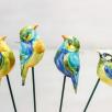 Little Bird