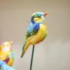 Little Bird