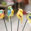 Little Bird