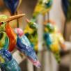 Kingfisher Bird