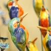 Kingfisher Bird
