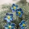 Fairy Flower