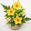 Medium Centerpiece with Daffodils  - Yellow