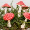 Magic Mushroom - Red