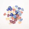 Pansy
