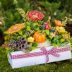 Large Flower Box Decoration with Mushroom