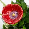Medium Centerpiece with Garden Cosmos