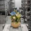 Small Centerpiece with Garden Poppy - Blue