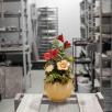 Small Centerpiece with Garden Poppy