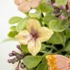 Mini Centerpiece with Butterflies