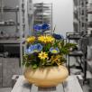 Large Centerpiece with Decor Poppy